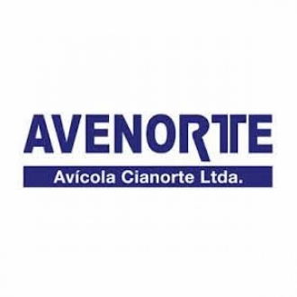Avenorte
